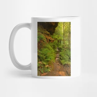 Canyon walk at Blackheath Mug